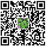 �ٴ��о�Ӫҵ