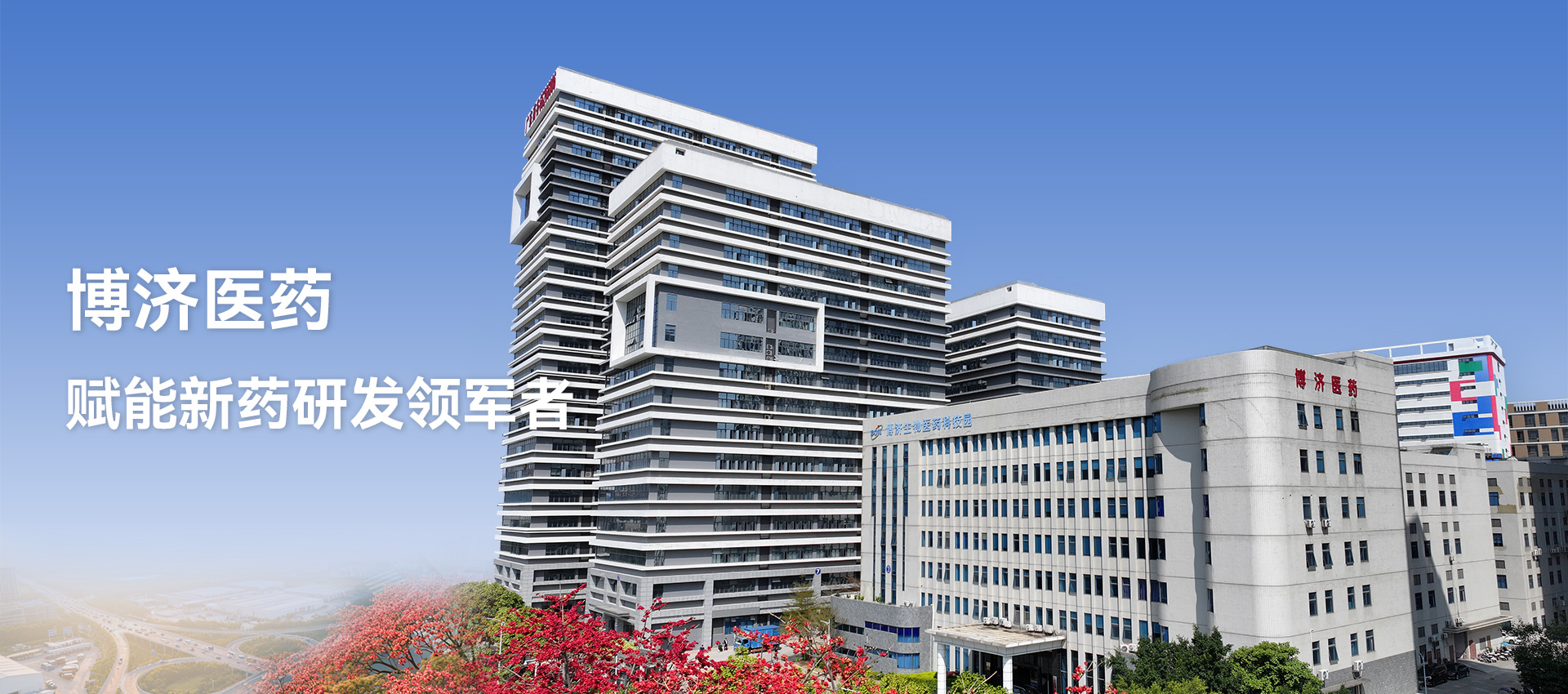 97�������ҽҩ ������ҩ�з������