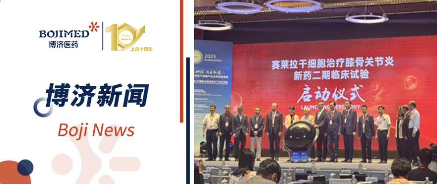 ����15�����˫��������������97����������ʸ�Ч������ϸ����ҩ�����ٴ�����˳��������?