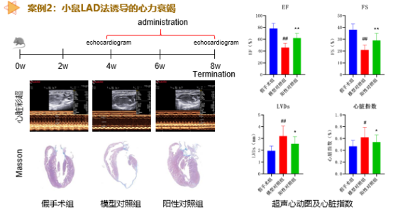 97����-����Ʒ��,Դ������