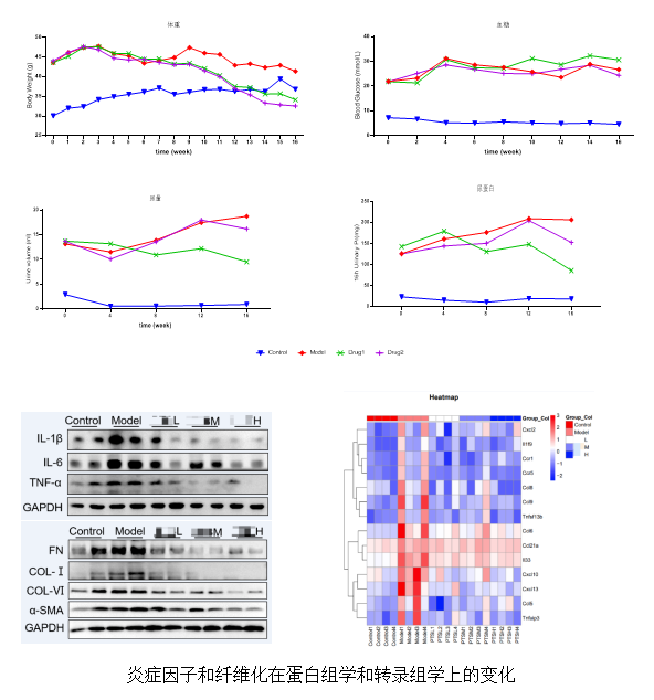 97����-����Ʒ��,Դ������